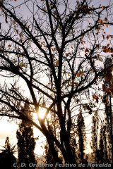 My Gallery (1/6)